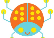 Bug